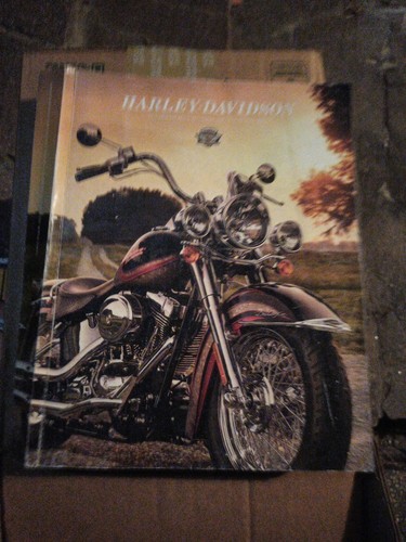 Libr0 harley davidson 2008 - harley,